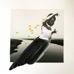 girl with wing