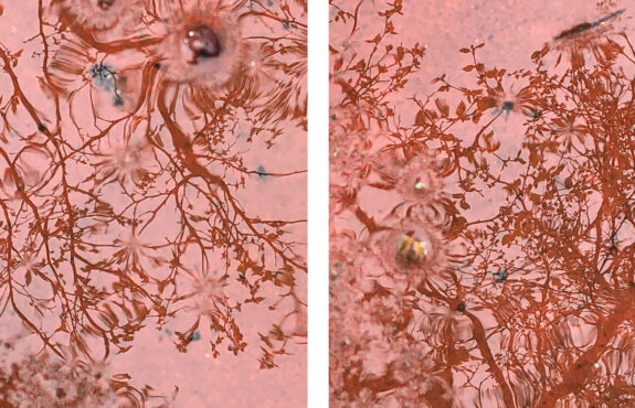 water reflection