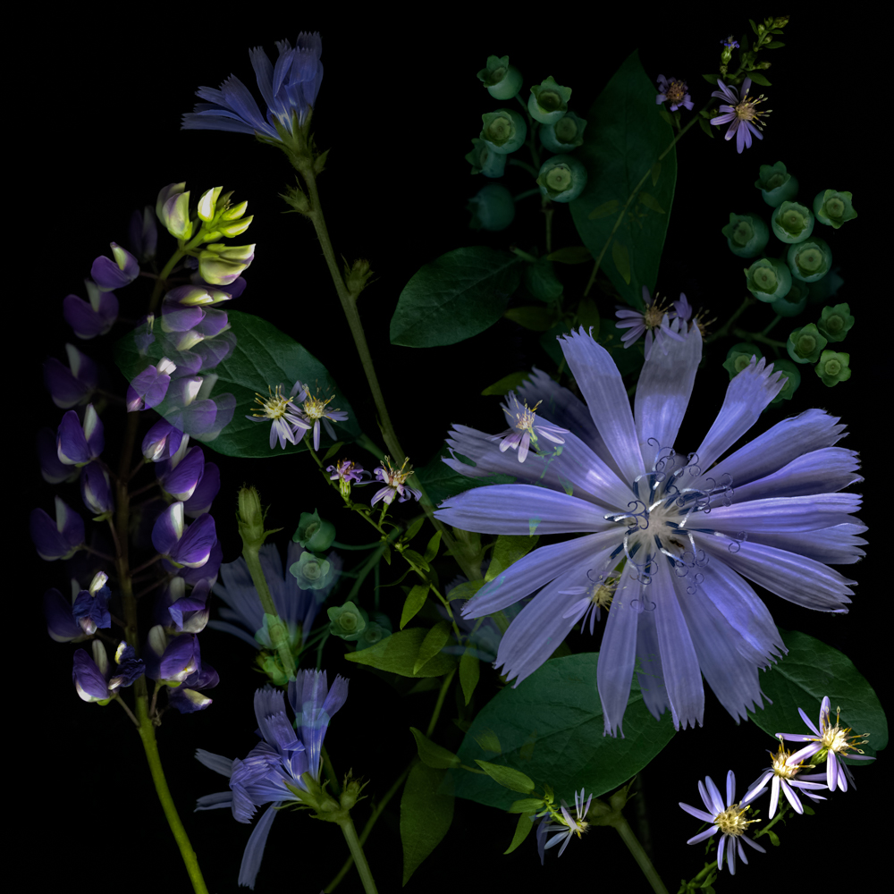 juran flowers