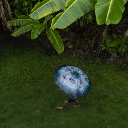 umbrella under plams