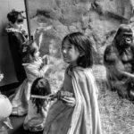 kids infront of gorilla