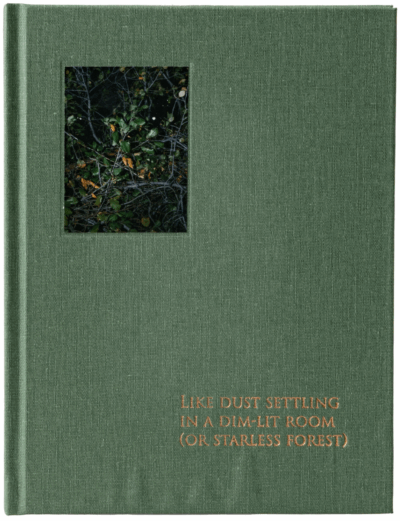 Like Dust Settling in a Dim-Lit Room (Or Starless Forest)