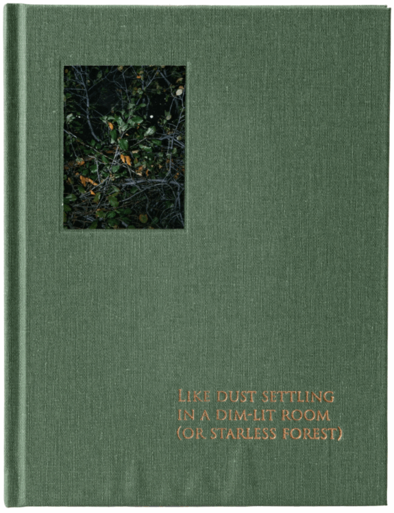 Like Dust Settling in a Dim-Lit Room (Or Starless Forest)