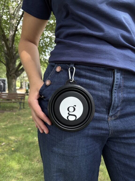 Griffin Sidekick Travel Bowl