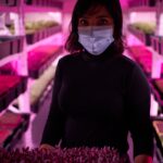 © Albert Lew, Smita and the Red Amaranth | Atelier 35