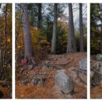 © Linda Hammett Ory, Lake Winnisquam Shoreline | Atelier 38