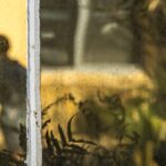 © Donna Tramontozzi, Inner Child | Atelier 22,23,25,28