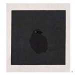 © Michael King, Grackle cracking the 