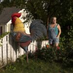 © Sandy Hill, Mr. Crocker | Atelier 33