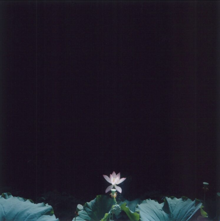 © Rinko Kawauchi